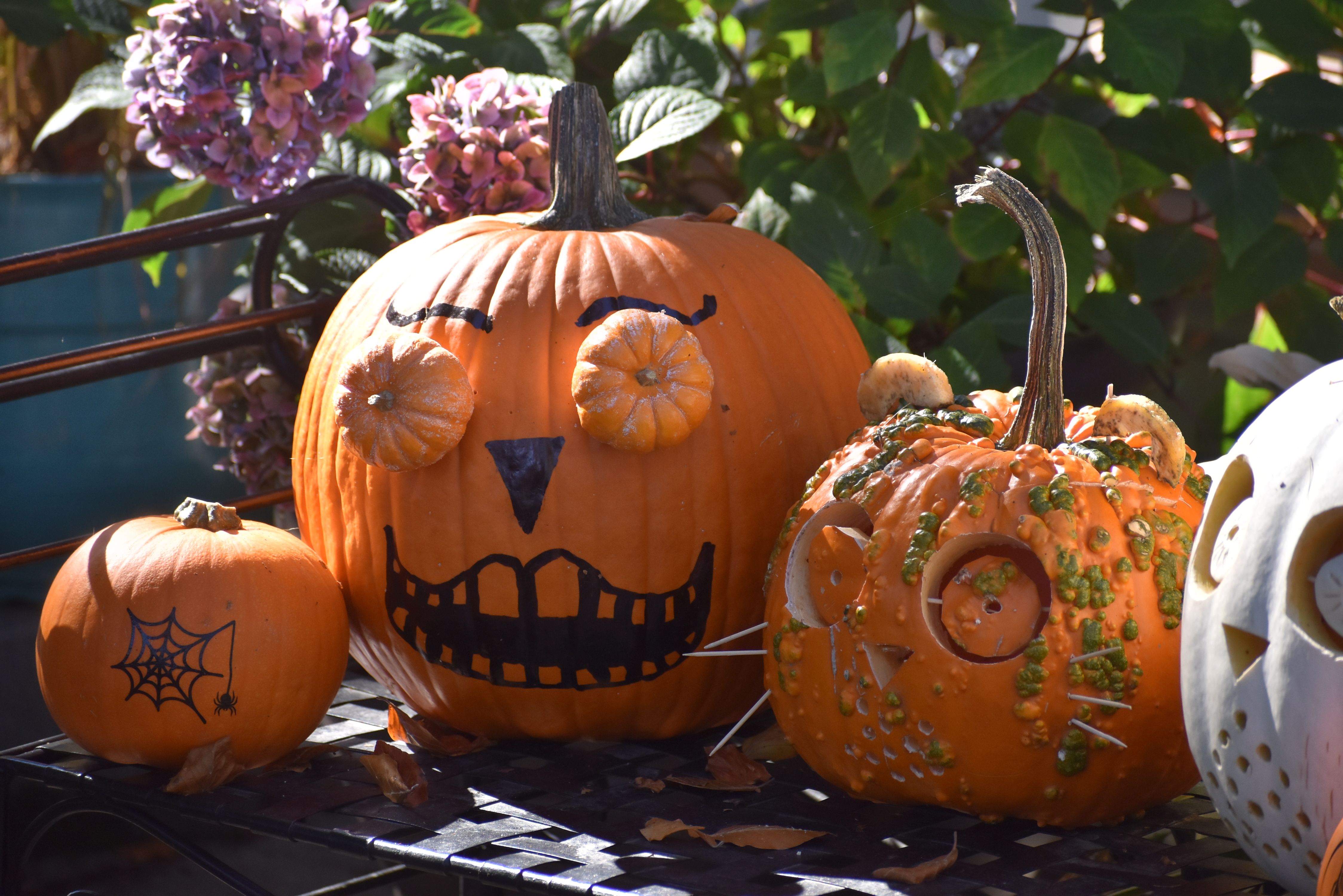 Halloween Gift Ideas That Feel More Thoughtful Than a Bag of Candy